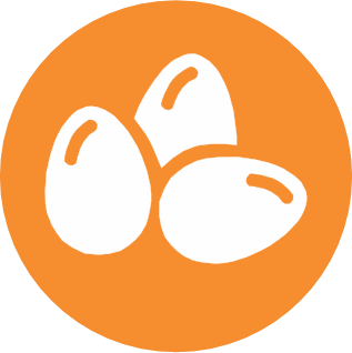 Eggs