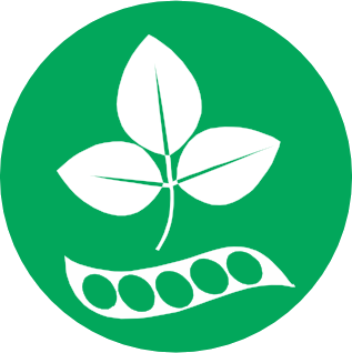 Soybean